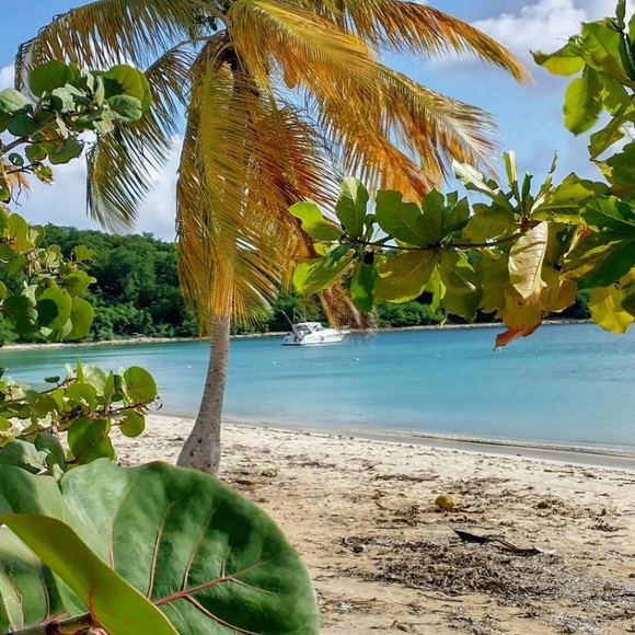 Meet your Posher, Whitney - Picture 2 of 8